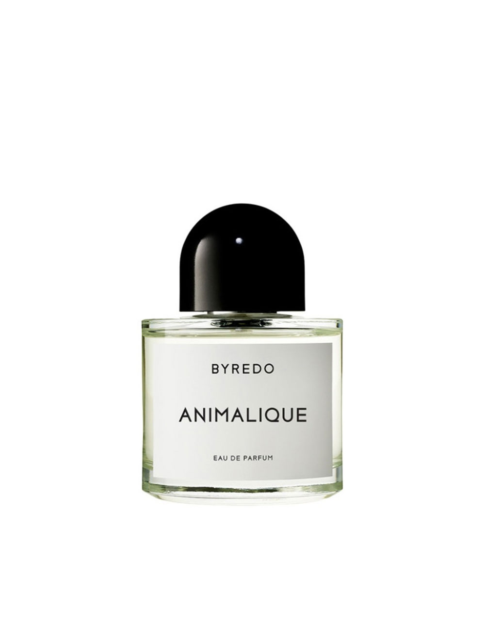 ANIMALIQUE-x